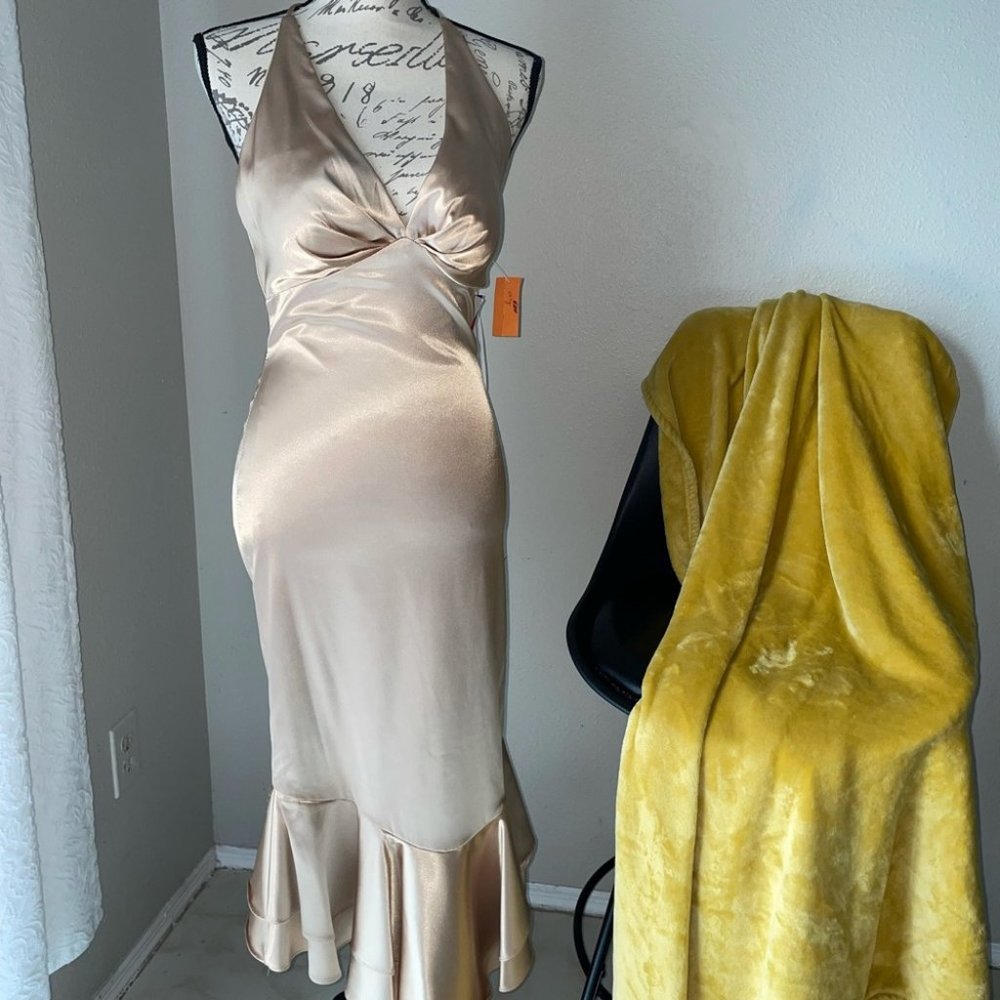 Beautiful Gold Blondie Nights Gown 2